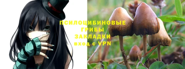 молекула духа Алзамай