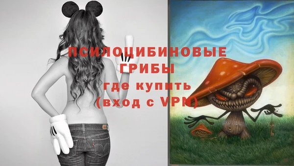spice Алексеевка