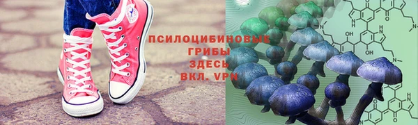 молекула духа Алзамай