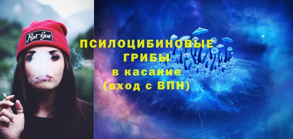 молекула духа Алзамай